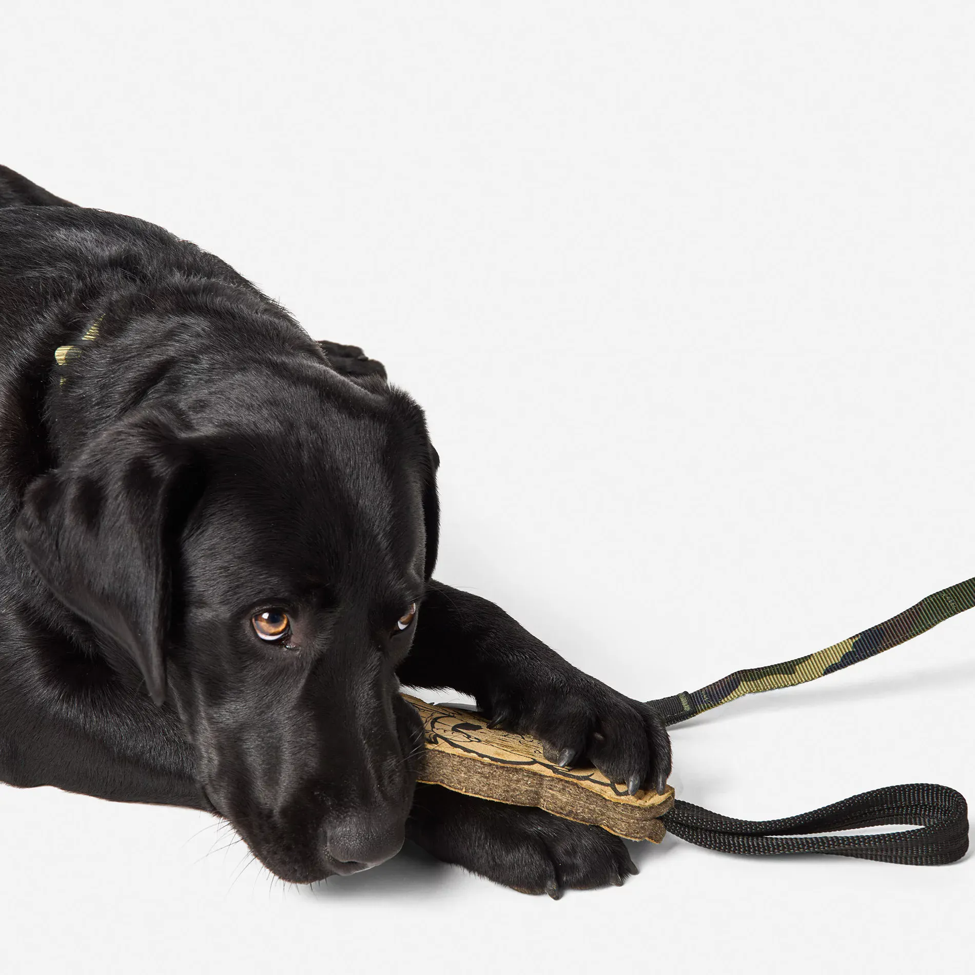 Іграшка для собаки 5.11 Tactical® "Mission Ready™ Gnome Dog Tug Toy" - військове спорядження Darkskiff - фото 11 Іграшка для собаки 5.11 Tactical® "Mission Ready™ Gnome Dog Tug Toy" - тактичне спорядження Darkskiff - фото 11